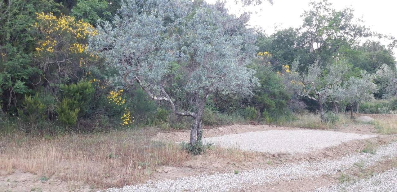 Agricampeggio Borgo Agna San Giustino Valdarno Экстерьер фото